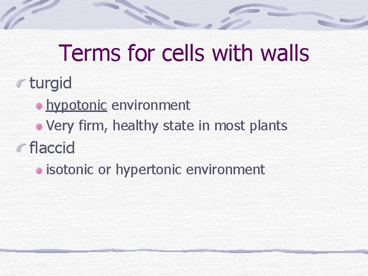 Terms for cells with walls turgid hypotonic environment Very firm, healthy state in most