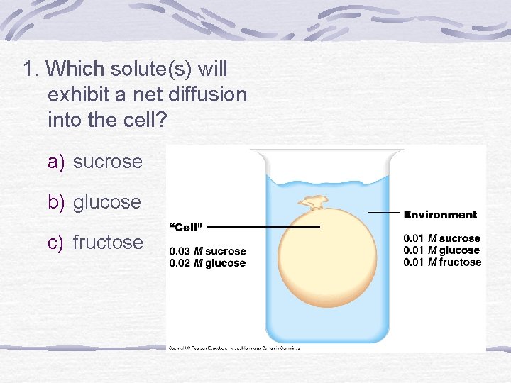 1. Which solute(s) will exhibit a net diffusion into the cell? a) sucrose b)