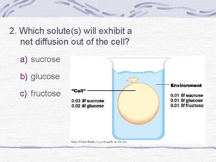 2. Which solute(s) will exhibit a net diffusion out of the cell? a) sucrose