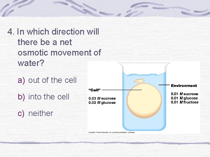 4. In which direction will there be a net osmotic movement of water? a)