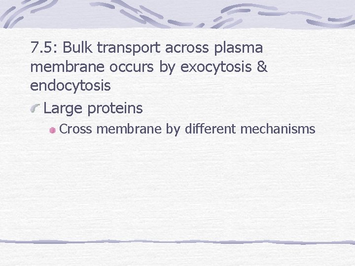 7. 5: Bulk transport across plasma membrane occurs by exocytosis & endocytosis Large proteins