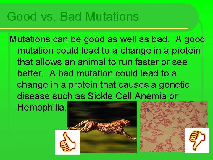 Good vs. Bad Mutations can be good as well as bad. A good mutation