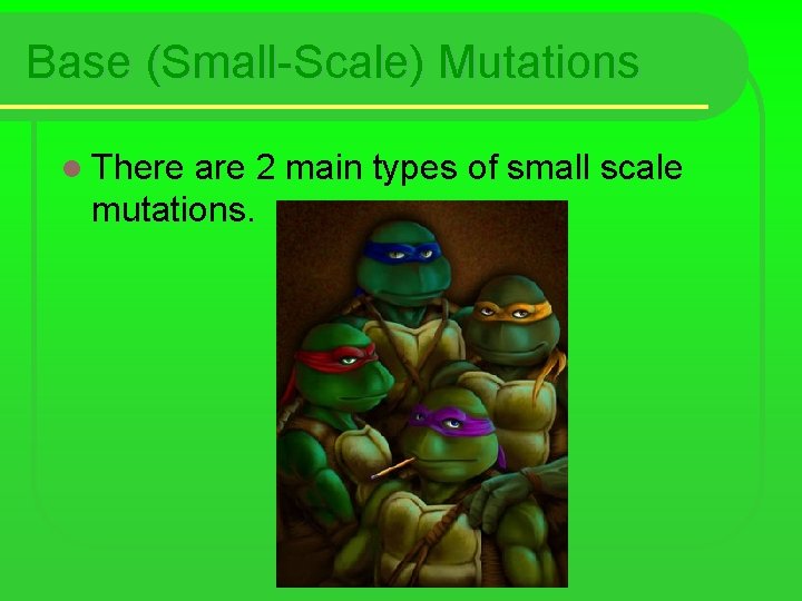 Base (Small-Scale) Mutations l There are 2 main types of small scale mutations. 