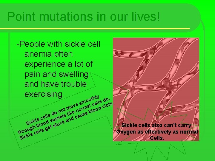 Point mutations in our lives! -People with sickle cell anemia often experience a lot