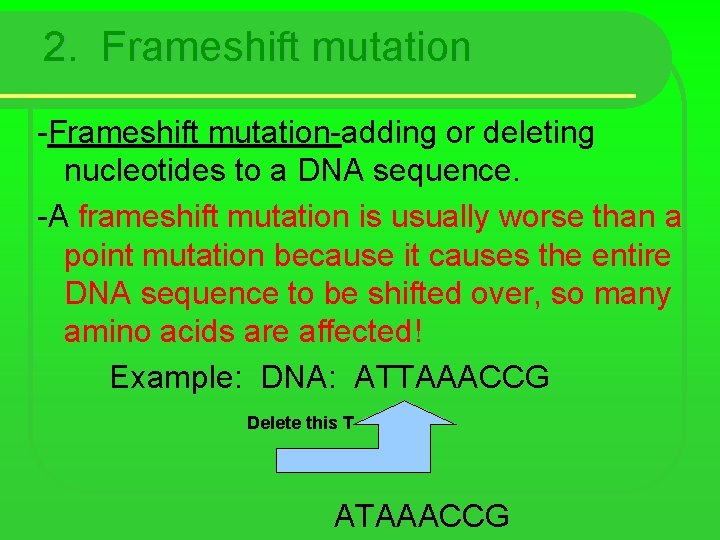 2. Frameshift mutation -Frameshift mutation-adding or deleting nucleotides to a DNA sequence. -A frameshift