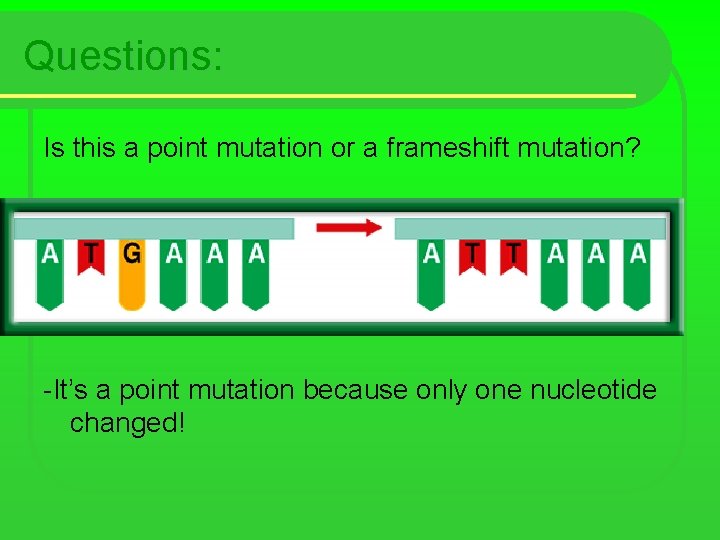 Questions: Is this a point mutation or a frameshift mutation? -It’s a point mutation