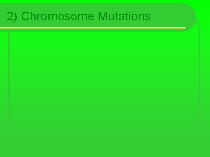 2) Chromosome Mutations 