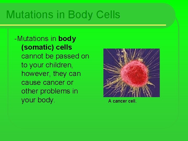Mutations in Body Cells -Mutations in body (somatic) cells cannot be passed on to