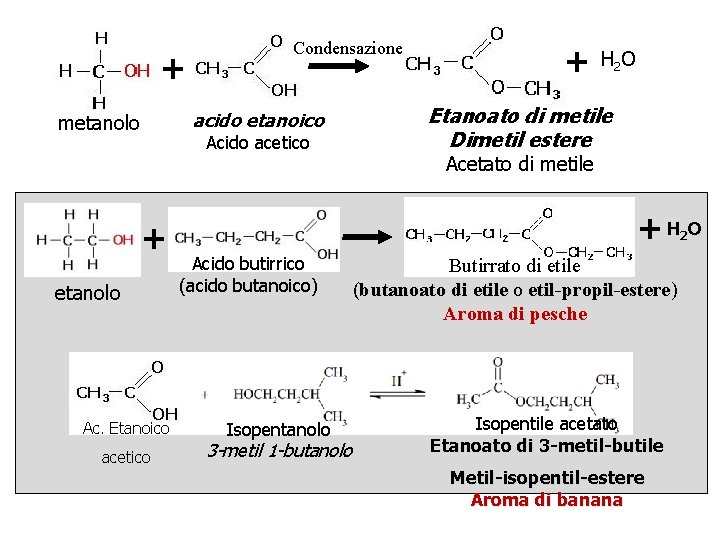 + Condensazione acido etanoico metanolo Acido acetico + etanolo Ac. Etanoico acetico + H