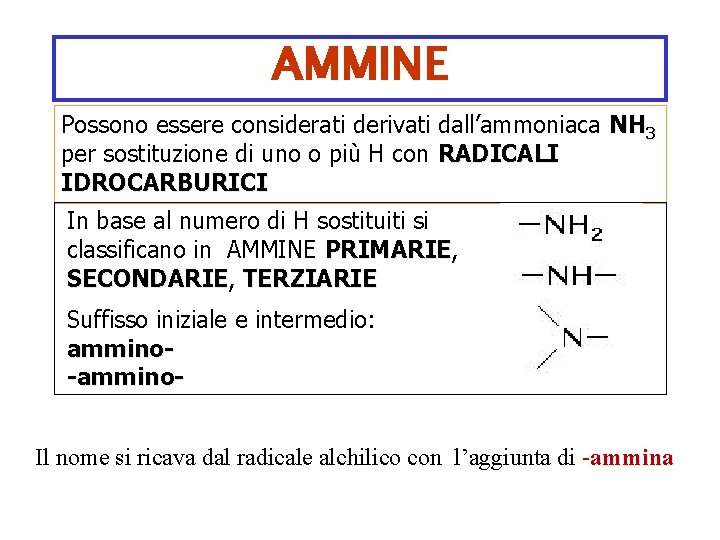 AMMINE Possono essere considerati derivati dall’ammoniaca NH 3 per sostituzione di uno o più