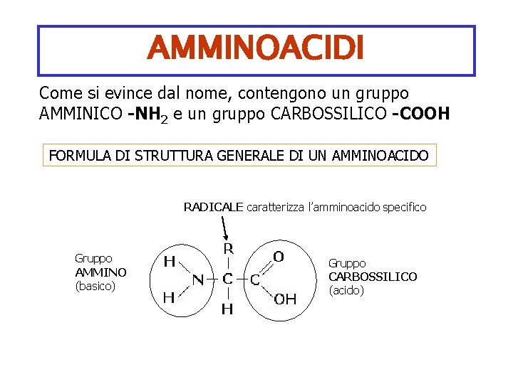 AMMINOACIDI Come si evince dal nome, contengono un gruppo AMMINICO -NH 2 e un