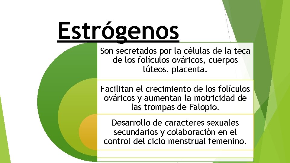 Estrógenos Son secretados por la células de la teca de los folículos ováricos, cuerpos