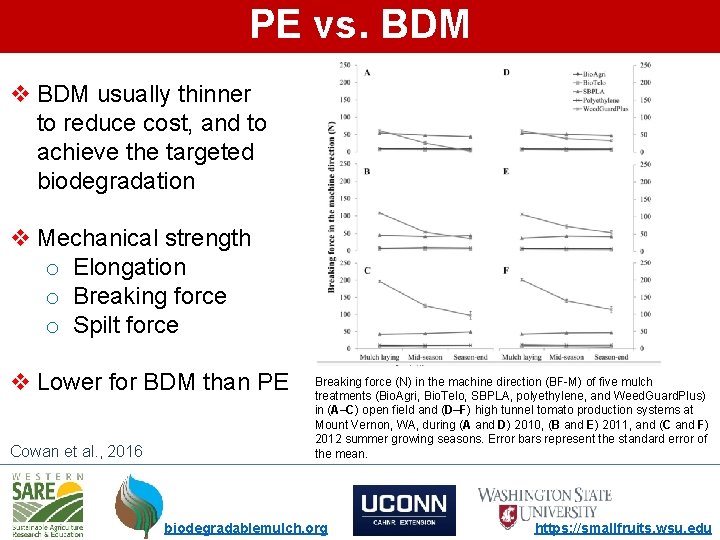 PE vs. BDM v BDM usually thinner to reduce cost, and to achieve the
