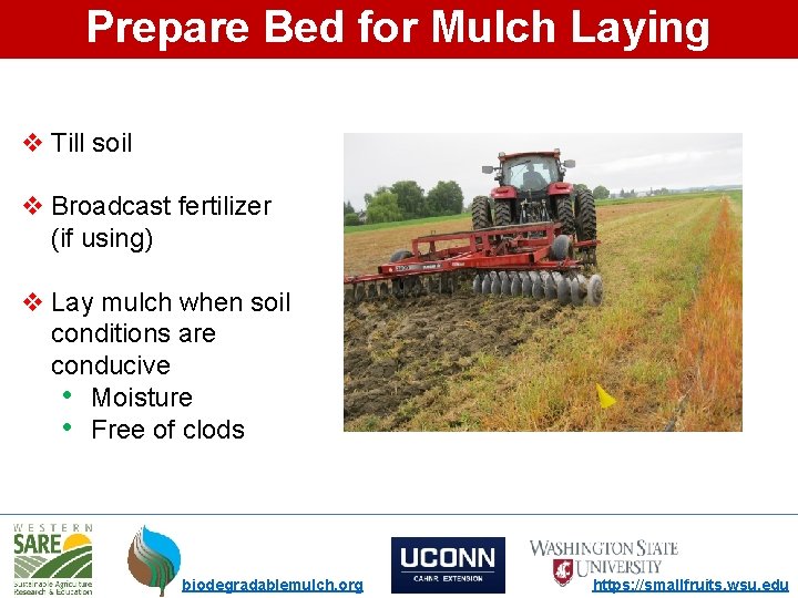 Prepare Bed for Mulch Laying v Till soil v Broadcast fertilizer (if using) v