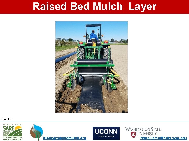 Raised Bed Mulch Layer Rain-Flo biodegradablemulch. org https: //smallfruits. wsu. edu 