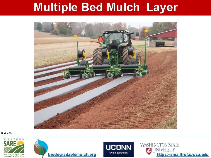 Multiple Bed Mulch Layer Rain-Flo biodegradablemulch. org https: //smallfruits. wsu. edu 