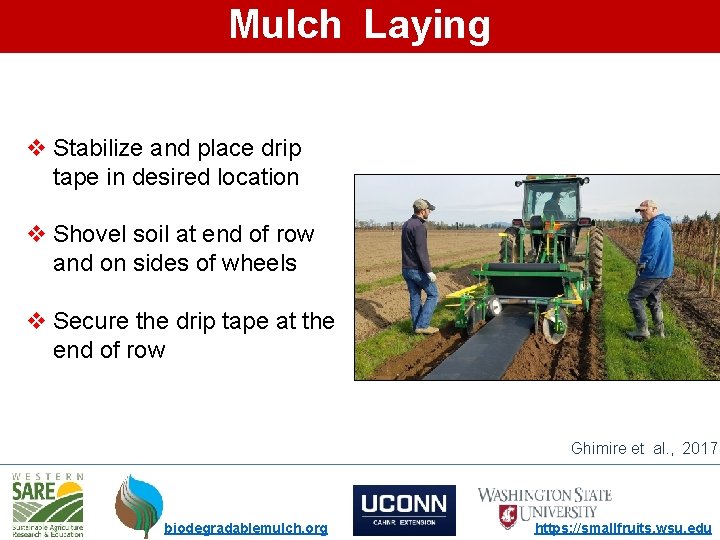 Mulch Laying v Stabilize and place drip tape in desired location v Shovel soil