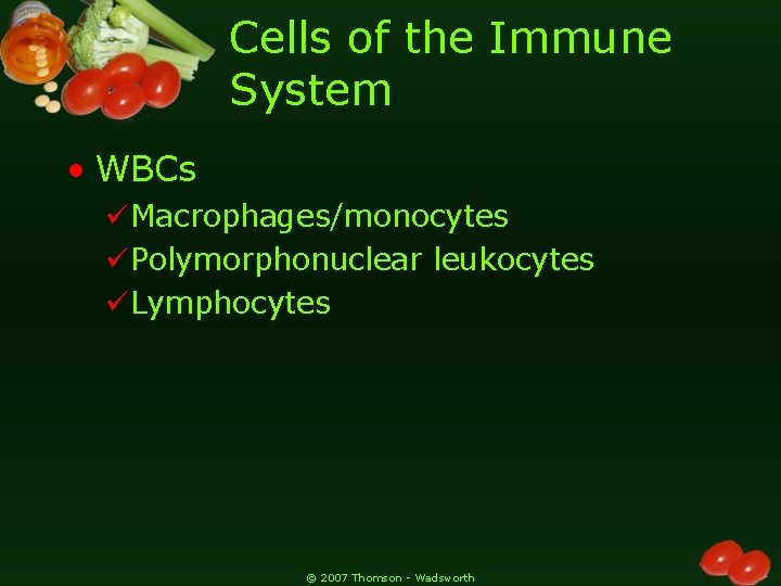 Cells of the Immune System • WBCs üMacrophages/monocytes üPolymorphonuclear leukocytes üLymphocytes © 2007 Thomson