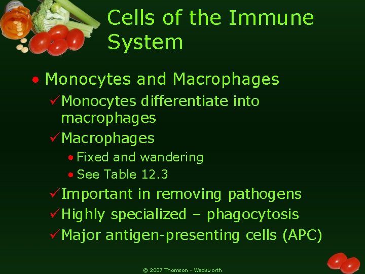 Cells of the Immune System • Monocytes and Macrophages üMonocytes differentiate into macrophages üMacrophages