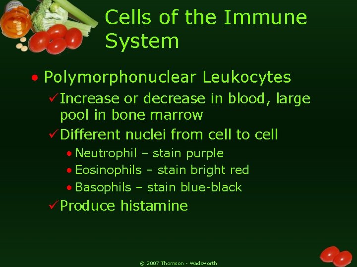 Cells of the Immune System • Polymorphonuclear Leukocytes üIncrease or decrease in blood, large
