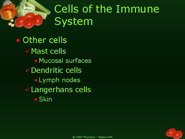 Cells of the Immune System • Other cells üMast cells • Mucosal surfaces üDendritic