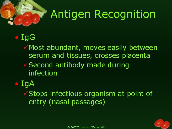 Antigen Recognition • Ig. G üMost abundant, moves easily between serum and tissues, crosses