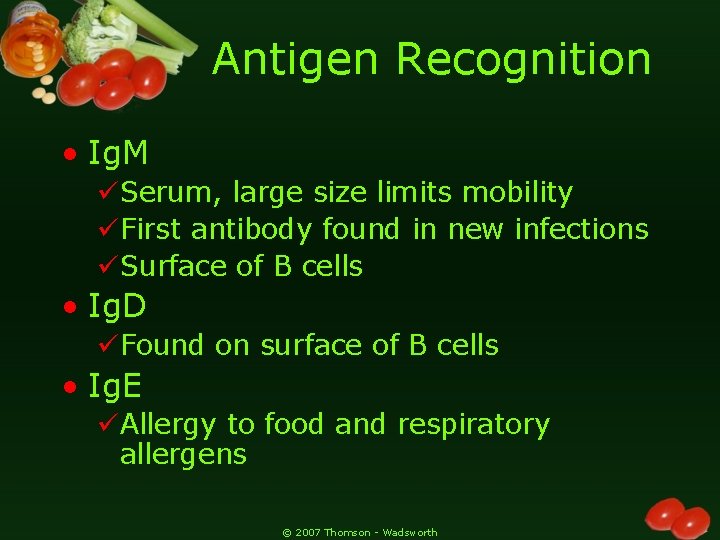 Antigen Recognition • Ig. M üSerum, large size limits mobility üFirst antibody found in