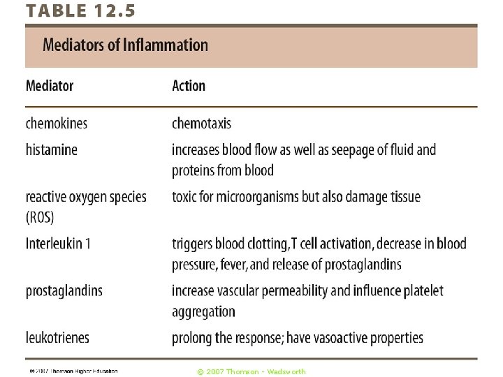 © 2007 Thomson - Wadsworth 