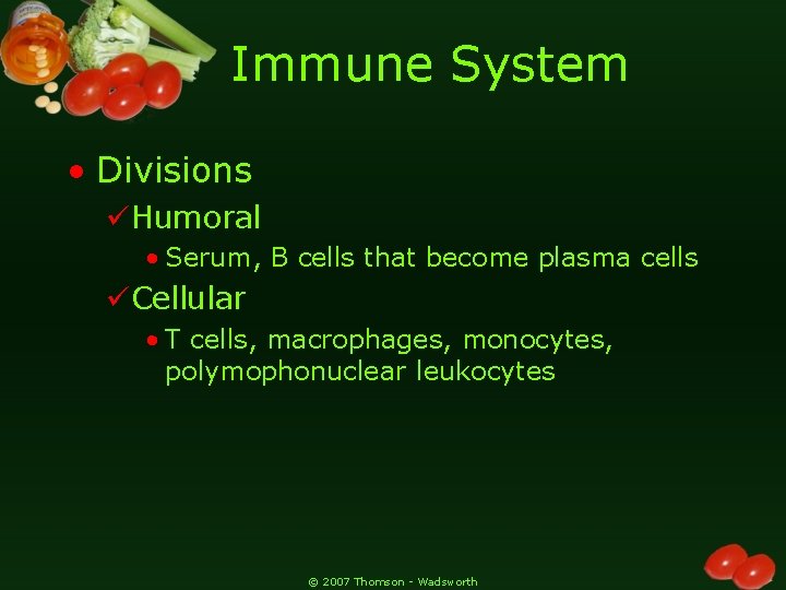 Immune System • Divisions üHumoral • Serum, B cells that become plasma cells üCellular