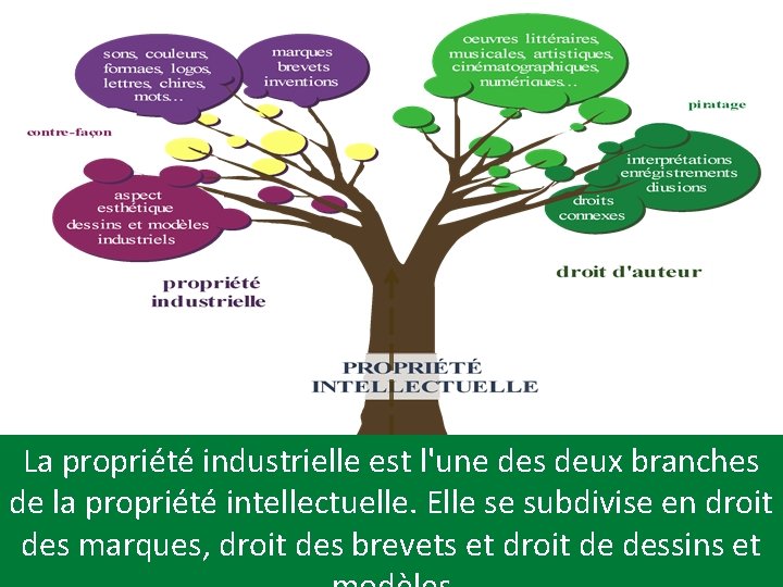 La propriété industrielle est l'une des deux branches de la propriété intellectuelle. Elle se