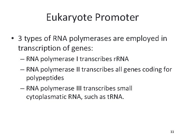 Eukaryote Promoter • 3 types of RNA polymerases are employed in transcription of genes: