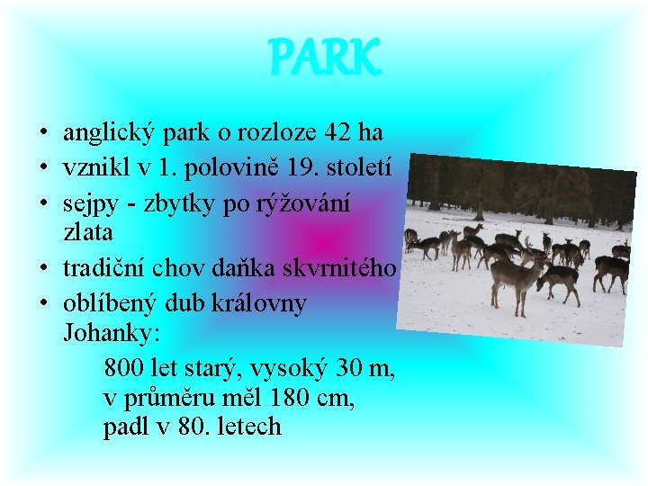 PARK • anglický park o rozloze 42 ha • vznikl v 1. polovině 19.