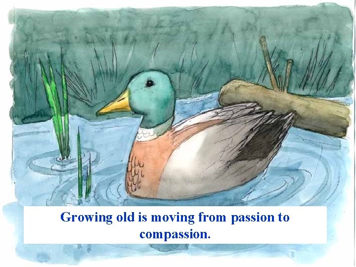 Growing old is moving from passion to compassion. www. vitanoblepowerpoints. net 