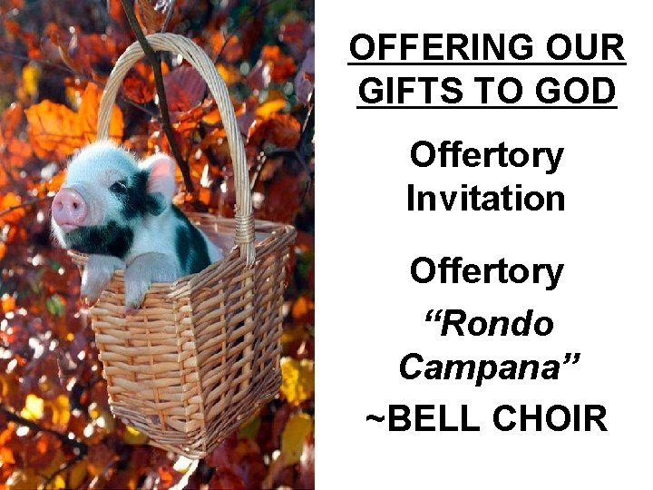 OFFERING OUR GIFTS TO GOD Offertory Invitation Offertory “Rondo Campana” ~BELL CHOIR 