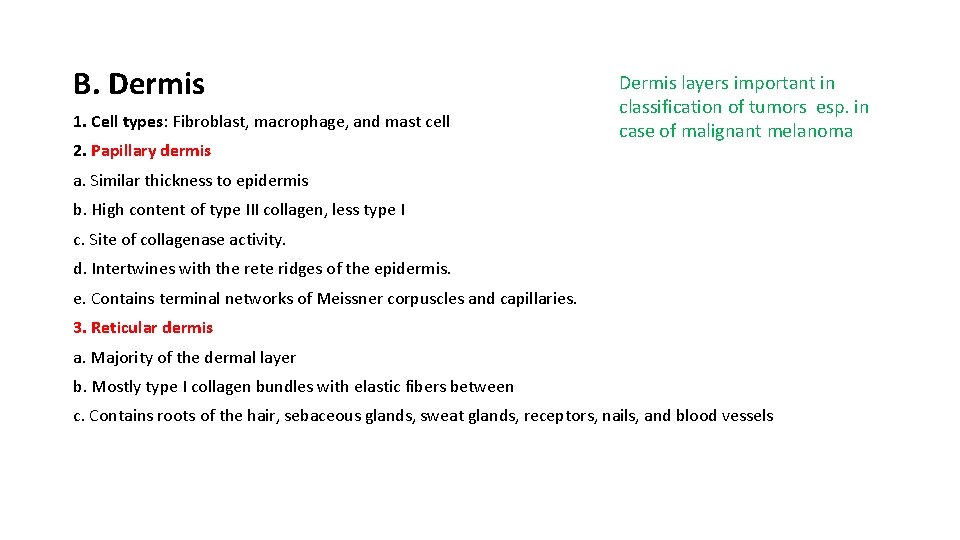 B. Dermis 1. Cell types: Fibroblast, macrophage, and mast cell 2. Papillary dermis Dermis