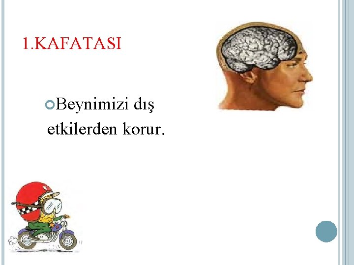 1. KAFATASI Beynimizi dış etkilerden korur. 