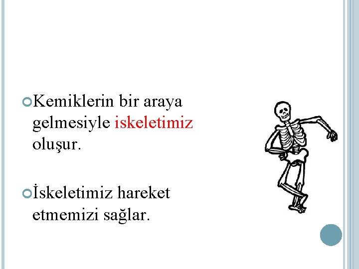  Kemiklerin bir araya gelmesiyle iskeletimiz oluşur. İskeletimiz hareket etmemizi sağlar. 