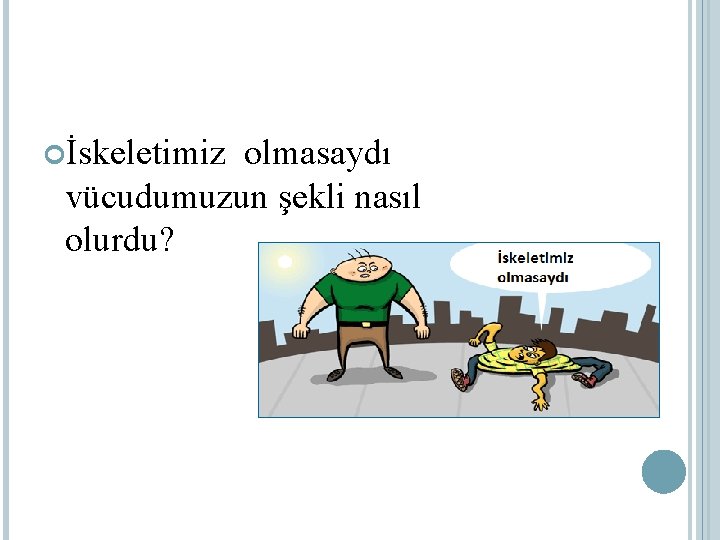  İskeletimiz olmasaydı vücudumuzun şekli nasıl olurdu? 