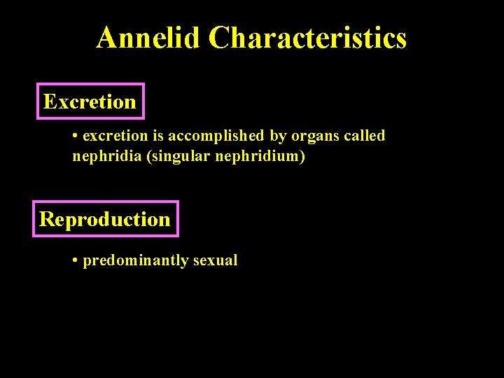 Annelid Characteristics Excretion • excretion is accomplished by organs called nephridia (singular nephridium) Reproduction