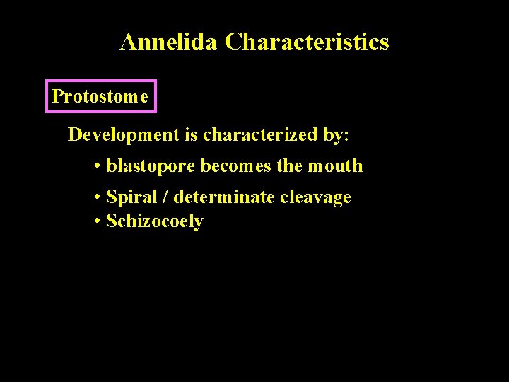 Annelida Characteristics Protostome Development is characterized by: • blastopore becomes the mouth • Spiral