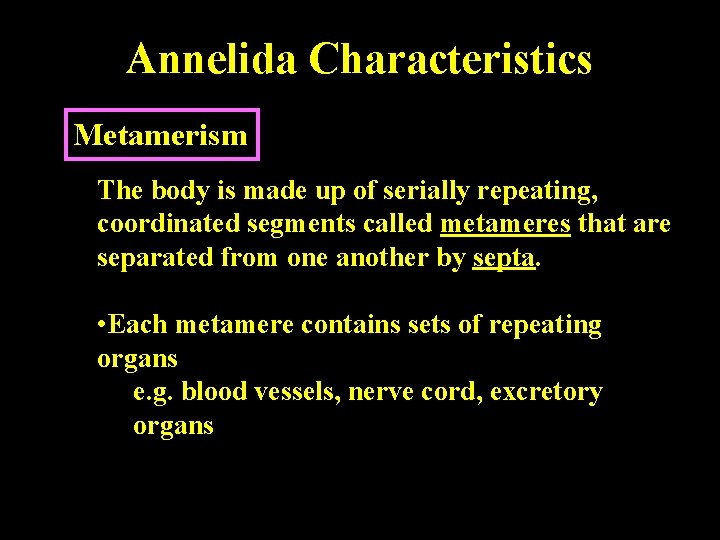Annelida Characteristics Metamerism The body is made up of serially repeating, coordinated segments called