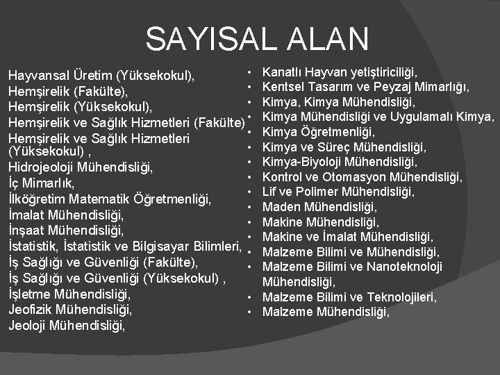 SAYISAL ALAN • Hayvansal Üretim (Yüksekokul), • Hemşirelik (Fakülte), • Hemşirelik (Yüksekokul), Hemşirelik ve