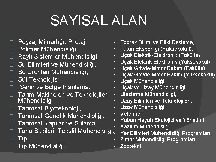 SAYISAL ALAN � � � � Peyzaj Mimarlığı, Pilotaj, • • Polimer Mühendisliği, •