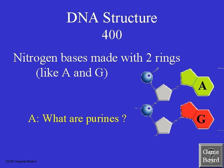 DNA Structure 400 Nitrogen bases made with 2 rings (like A and G) A: