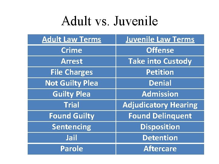 Adult vs. Juvenile Adult Law Terms Crime Arrest File Charges Not Guilty Plea Trial