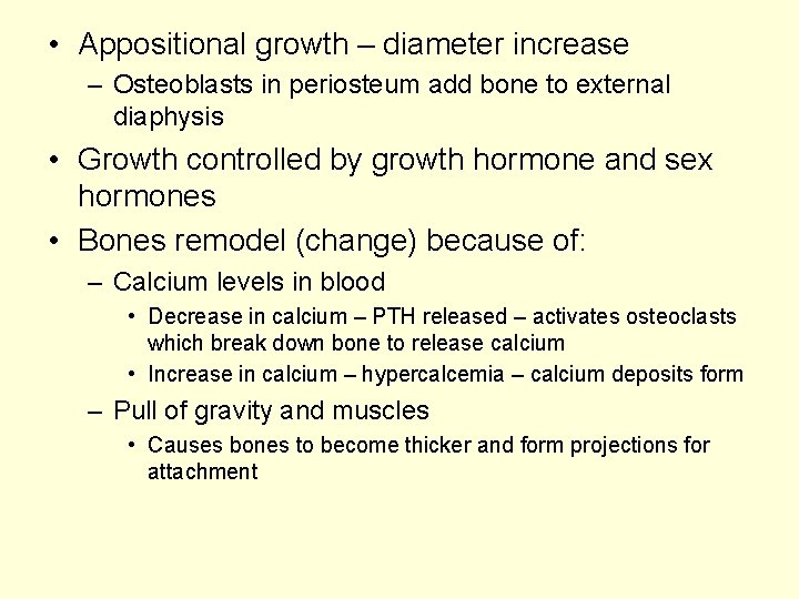  • Appositional growth – diameter increase – Osteoblasts in periosteum add bone to