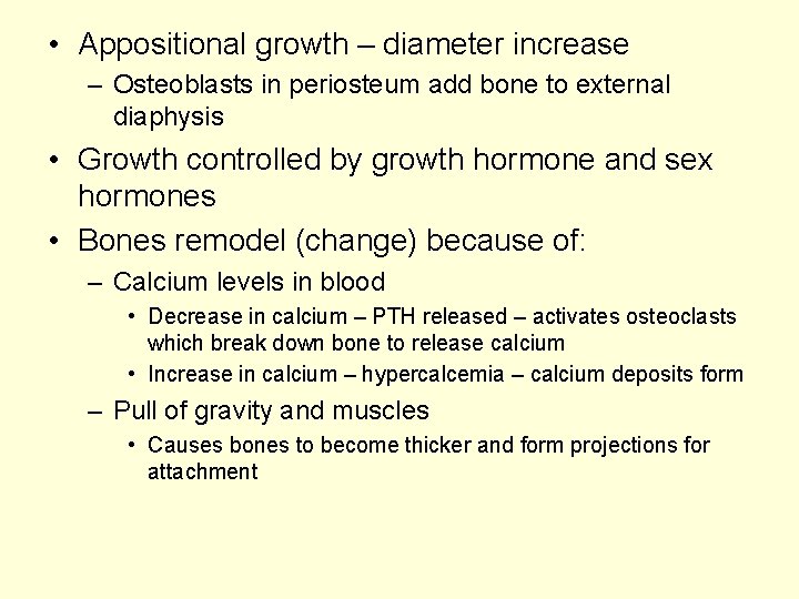  • Appositional growth – diameter increase – Osteoblasts in periosteum add bone to