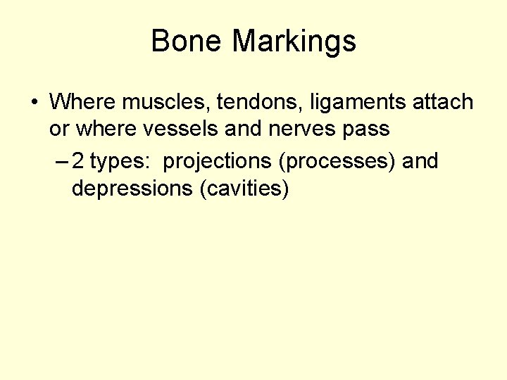 Bone Markings • Where muscles, tendons, ligaments attach or where vessels and nerves pass