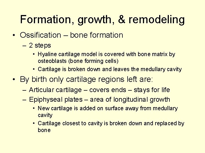 Formation, growth, & remodeling • Ossification – bone formation – 2 steps • Hyaline