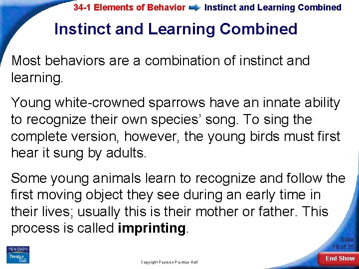34 -1 Elements of Behavior Instinct and Learning Combined Most behaviors are a combination